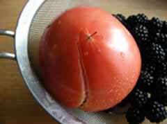 Rs[ ` 7-31tomato2.jpg