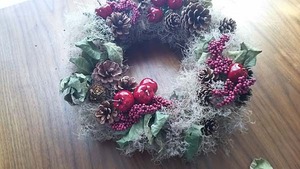 2016-12-03DSC_0026.jpg