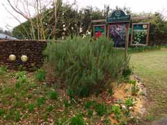 20160403_095813842.jpg