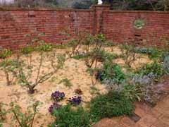20160403_095920554.jpg