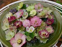 20160403_102907888.jpg