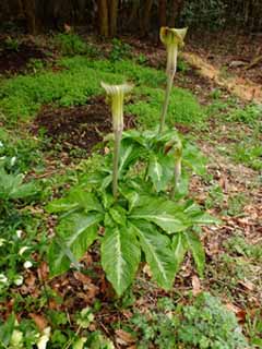 20160403_103127849.jpg