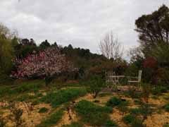 20160403_103308433.jpg