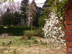 20160403_103632983.jpg