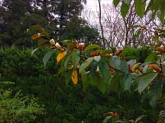20160403_103919190.jpg