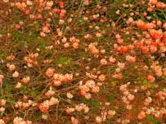 20160403_103941890.jpg