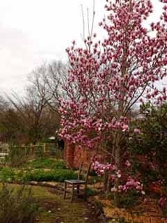 20160403_104032484.jpg
