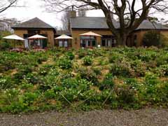 20160403_104228762.jpg
