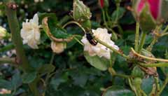 20160503_073728.jpg