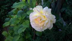 20160507_160328.jpg