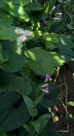 20160515_075622.jpg