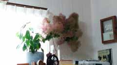 20160525_063557.jpg