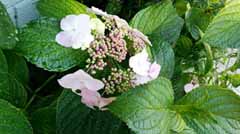 20160602_181449.jpg