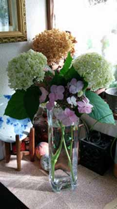 20160603_071349.jpg