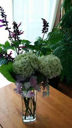 20160604_120830.jpg
