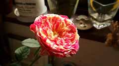 20171105_101106219.jpg