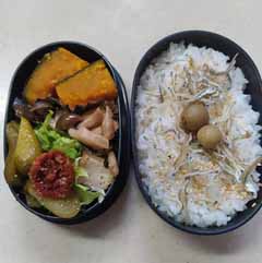 5-6bentou.jpg