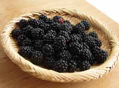7-20b-berry.jpg
