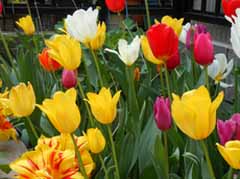 DSCN0140.jpg