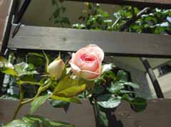DSCN4599.jpg