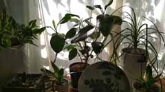 IMG_20170731_073157.jpg
