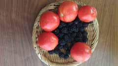 IMG_20170731_081916.jpg