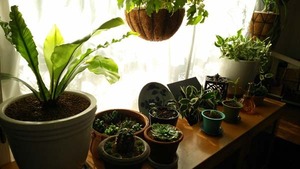 IMG_20171030_074604.jpg