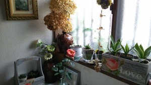 IMG_20171031_095151.jpg