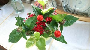 IMG_20171031_120515.jpg