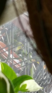 IMG_20180127_074544.jpg