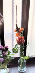 IMG_20200409_064311.jpg