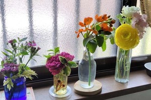 IMG_20200415_113721.jpg