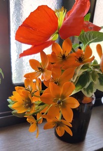 IMG_20200419_121108.jpg