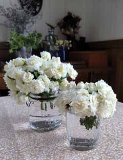 IMG_20200429_113459.jpg