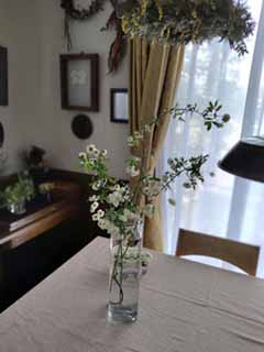 IMG_20200429_113529.jpg