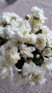 IMG_20200429_113810.jpg