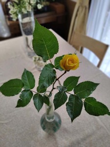 IMG_20200430_090053.jpg