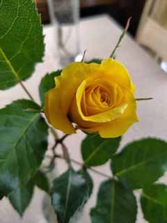 IMG_20200430_090219.jpg