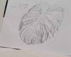 IMG_20200520_162215.jpg