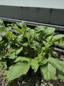 IMG_20200528_095322.jpg