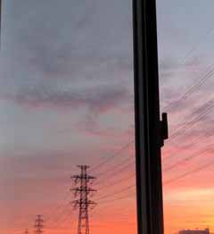 IMG_20200531_041446.jpg