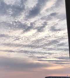 IMG_20200531_043354.jpg