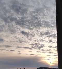 IMG_20200531_045352.jpg