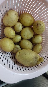 IMG_20200709_135917.jpg
