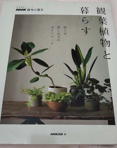 IMG_20200710_200606.jpg