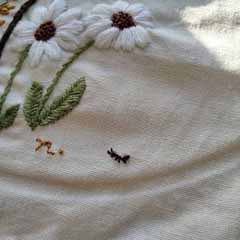 IMG_20200811_060125_797.jpg