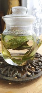 IMG_20201029_124036.jpg