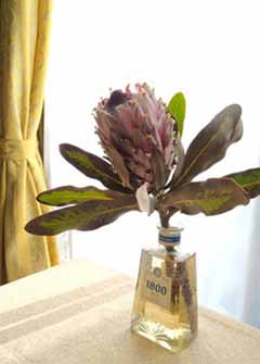IMG_20201122_133615.jpg