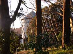 kawamura5.jpg