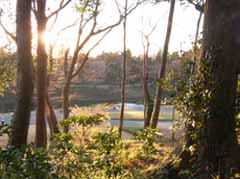 kawamura6.jpg